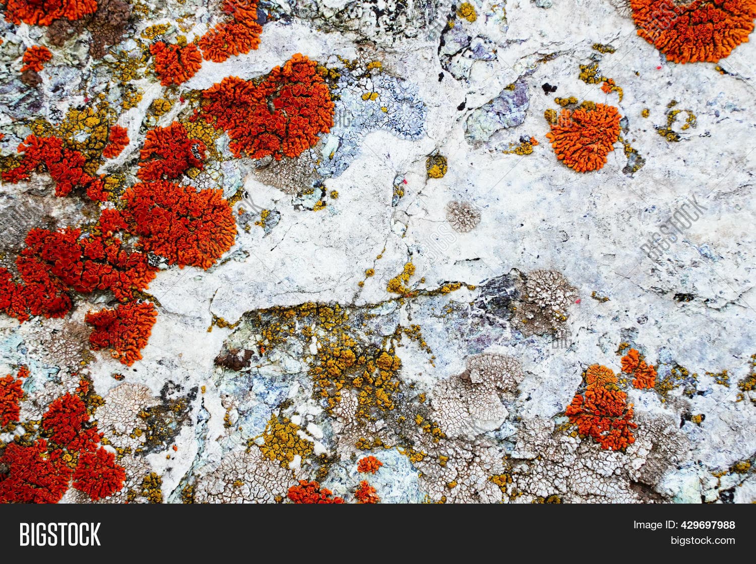 What's the difference between a column oriented database and a column-family store?